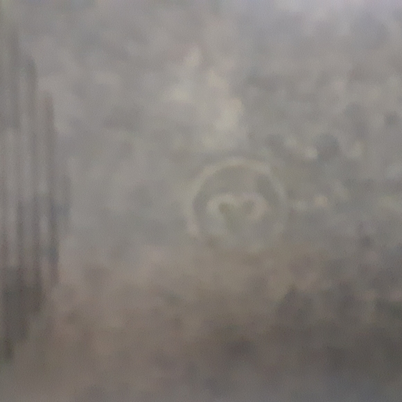 Girls Restricted Kids bow summer sandals sz 3 tan - Picture 6 of 10